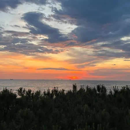 Sunset Pine Appartamento *